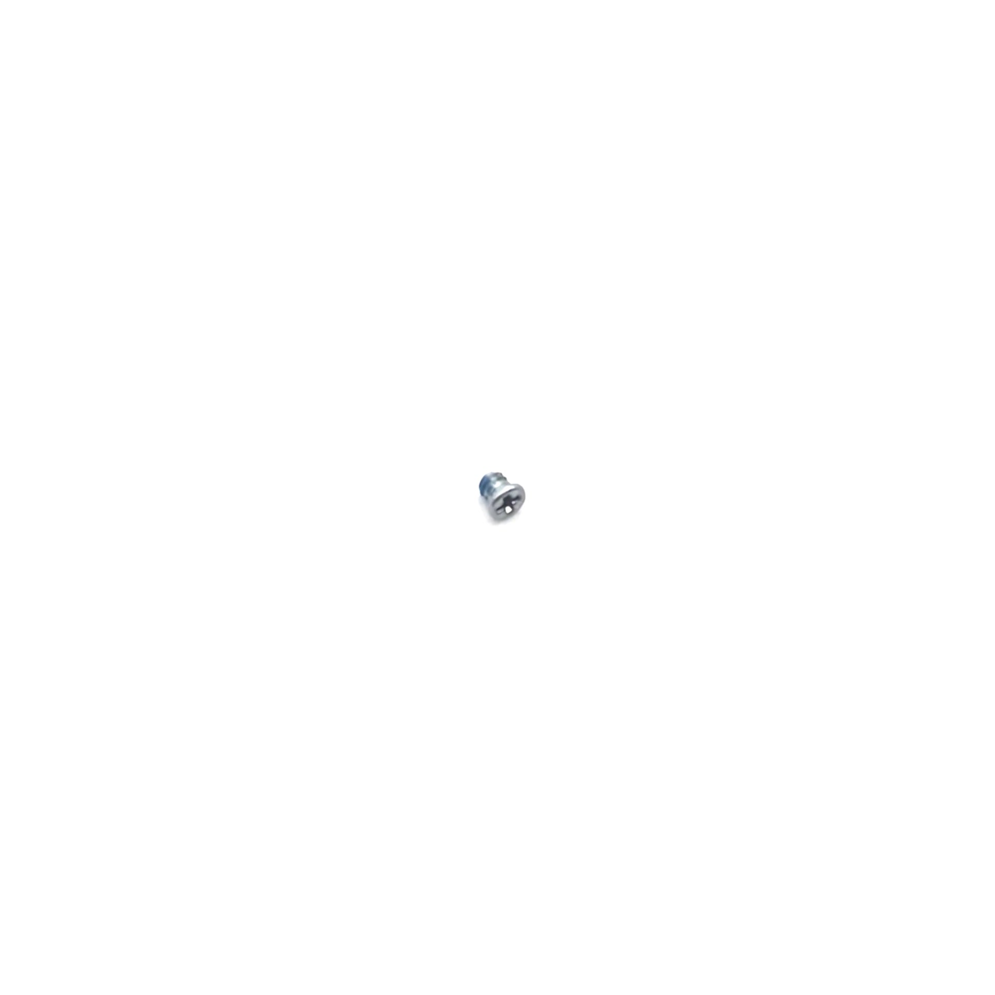 Right Hand Side Screw for the Hold Switch- OEM