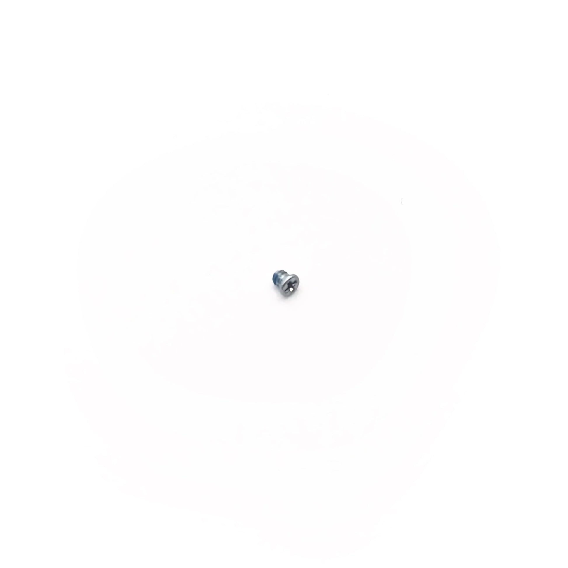 Screw for 30 pin gasket - OEM