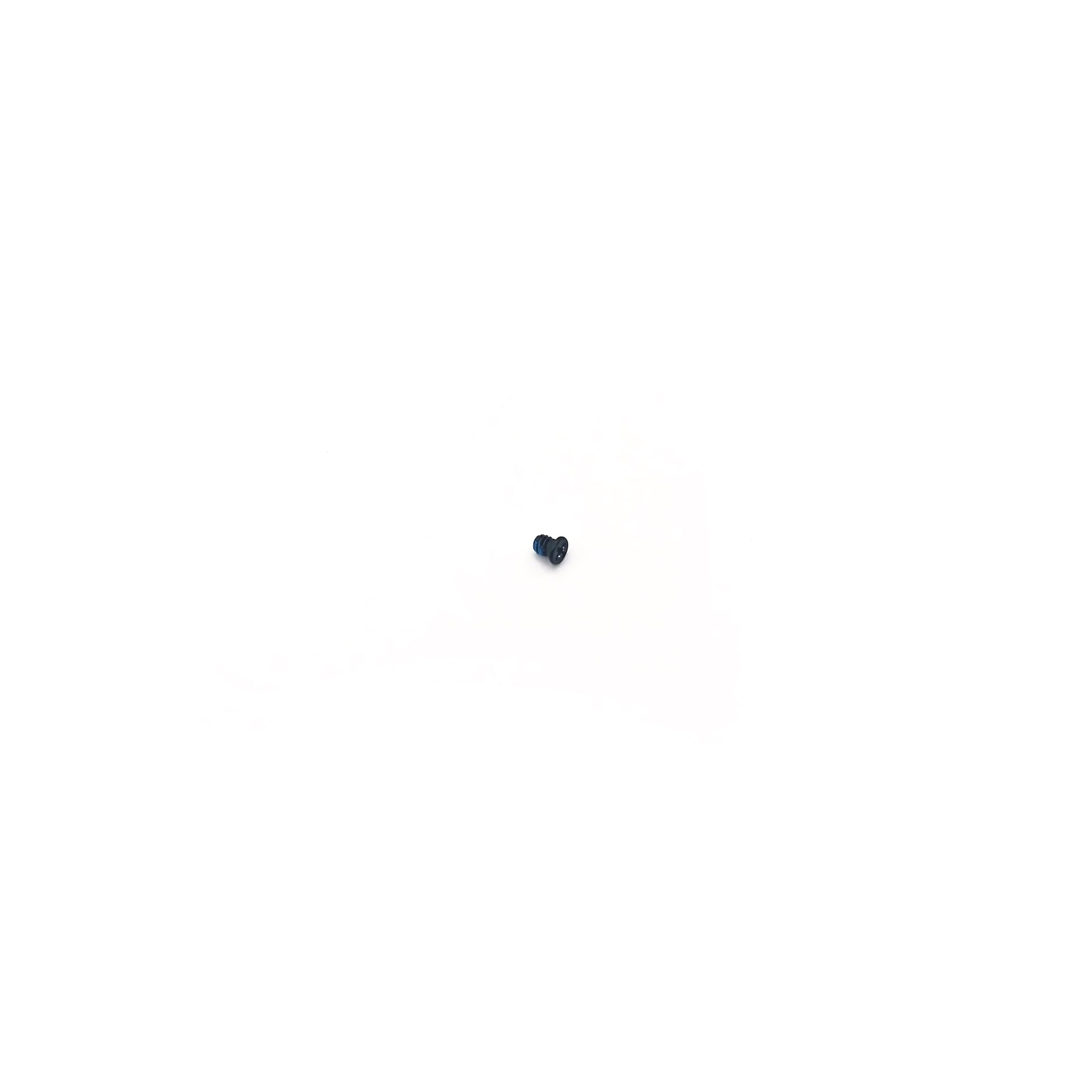 Screw for left hand side hold switch and headphone jack - OEM